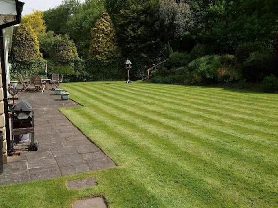 Award winning grounds maintenance and landscaping services